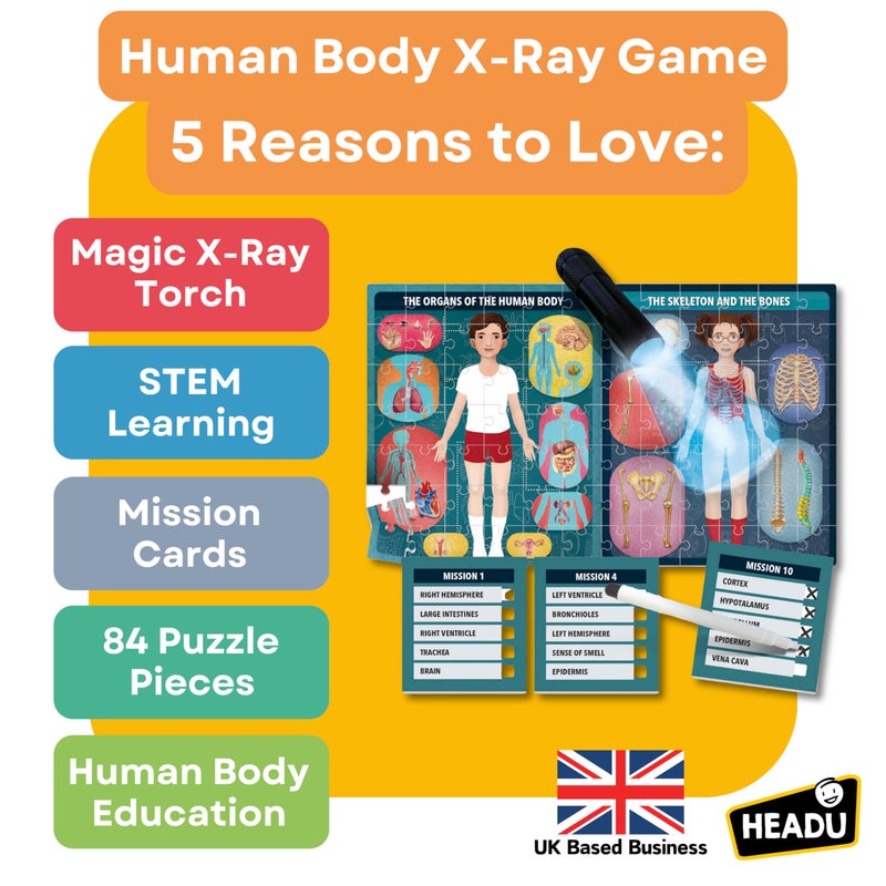 Headu The Human Body Under X-Ray â€“ Kids Learning Toys Ages 6-10, Educational STEM Toys for Ages 6 7 8 9 10 Year Old Boys Girls, Anatomy Puzzles, 1st Grade Learning Activities, Classroom Must Haves - Image 2